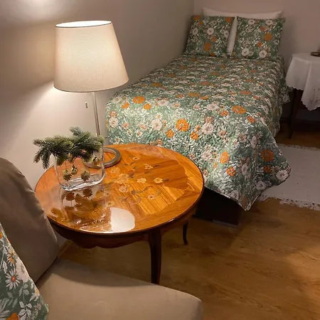 Cozy Apartment Steyr Mitte, Ruhig, Parkplatz, Terasse, 2 Schlafzimmer, Wlan *