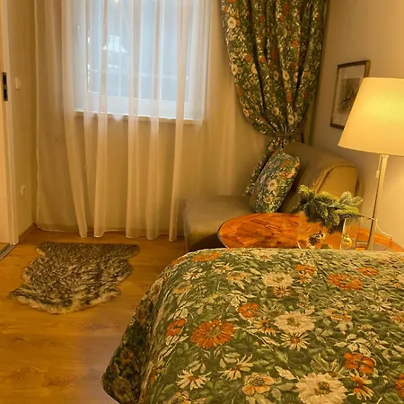 Cozy Apartment Steyr Mitte, Ruhig, Parkplatz, Terasse, 2 Schlafzimmer, Wlan Steyr