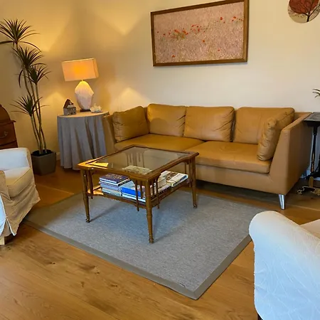 Zentrales Mit 2 Schlafzimmer Und Parkplatz Ruhig Und Schnelles Internet Apartmán Steyr