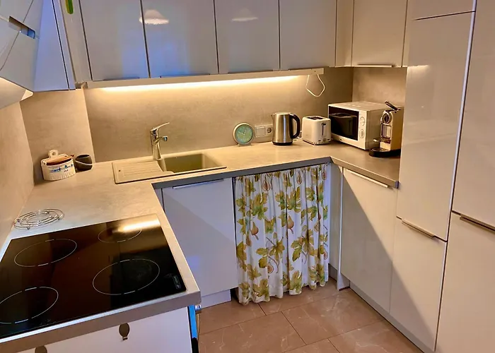 Zentrales Mit 2 Schlafzimmer Und Parkplatz Ruhig Und Schnelles Internet * Steyr