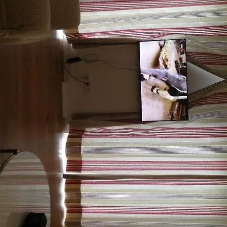Steyr City Apartment mit 2 Schlafzimmer Apartment